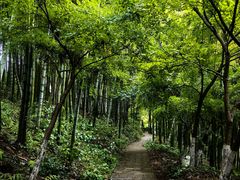 -莫干山风景区