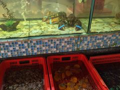 -巽寮印象美食部落餐厅·海鲜·地方特色菜(惠州体验店)