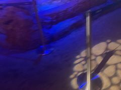 -沈阳海洋探索中心