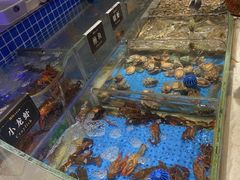 -加餐海鲜自助(宝龙一城店)