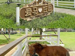 -盈香心动乐园