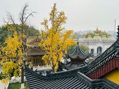 -上海东林寺(金山区)