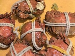 -一绪に寿喜烧(虹悦城店)