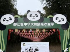 -都江堰中华大熊猫苑