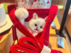 -星巴克臻选(九龙路万科广场店)