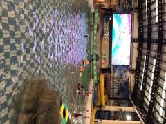 -南宫温泉水世界