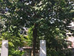 -广州神农草堂中医药博物馆