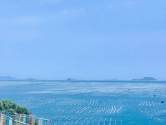 -枸杞岛