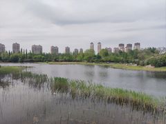 -群力丁香公园