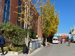 -北京市海淀外国语实验学校