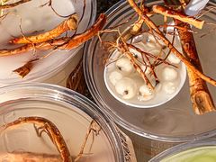 -炖物24章·顺时轻养茶(杭州大厦店)