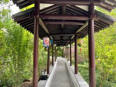 -上海醉白池公园