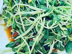 -少林寺欢喜地素斋馆