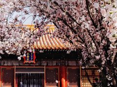 -故宫博物院(故宫)