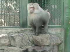 -无锡动物园·太湖欢乐园