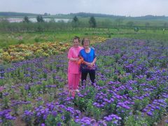 -北纬44度·金珠花海休闲农业旅游景区