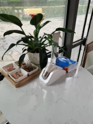 -丝域养发馆