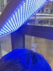 -碧莲盛·不剃发植发