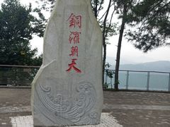 -铁山坪森林公园