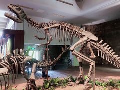 -自贡恐龙博物馆
