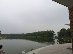 -大兴滨河森林公园