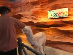 -酷嗒动物文化乐园(cutezoo西溪乐天城店)