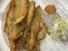 -老平安农家菜(平安店)