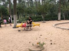 -合肥滨湖国家森林公园