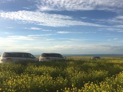 -青海湖国家重点风景名胜区