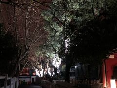 -凤凰御元艺术基地