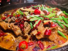 -老板恋上鱼(高新万达店)