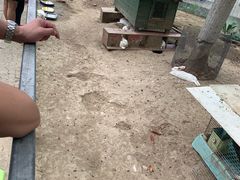 -合肥滨湖国家森林公园