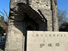 -上海佘山国家森林公园天马山园