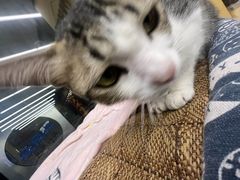 -谜盒子奇幻密室(南屏店)