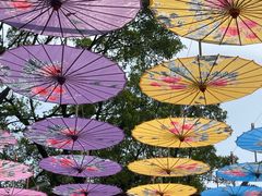 -人民公园(罗湖区)