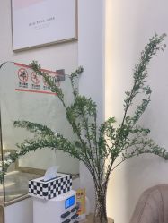 -MIDA蜜哒•科技逆龄美肤连锁