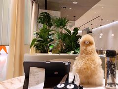 -théATRE 茶聚场(王府中環店)