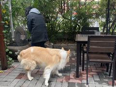 -豆舞咖啡(民乐路店)