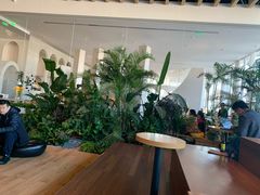 -Seesaw Coffee(朝阳大悦城店)