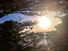 -深圳湾公园(南山区)
