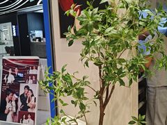 -天真蓝照相馆(五角场百联又一城店)
