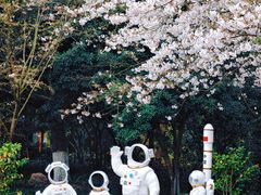 -杭州少年儿童公园