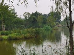-东郊湿地公园