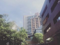 -香港大学