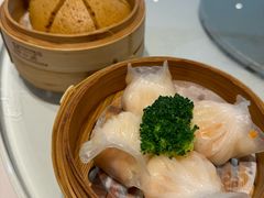 -星湖愉景酒家