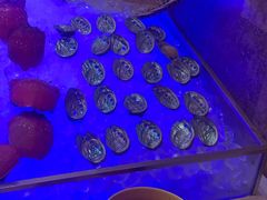 -怡咖啡·自助餐·西安香格里拉