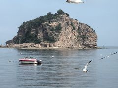 -棒棰岛宾馆景区