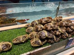 -宜宾海鲜酒家·三十年老字号