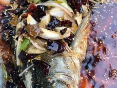 -渔太傅重庆纸上烤鱼(东大店)