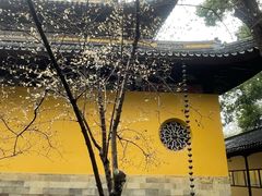 -西园寺素食(西园弄戒幢律寺店)